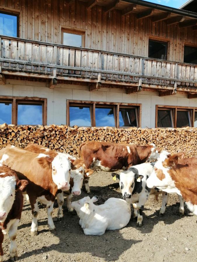 Ferienwohnungen Niederarnigerhof Familie Bauernfeind Kals am Grossglockner Exterior photo