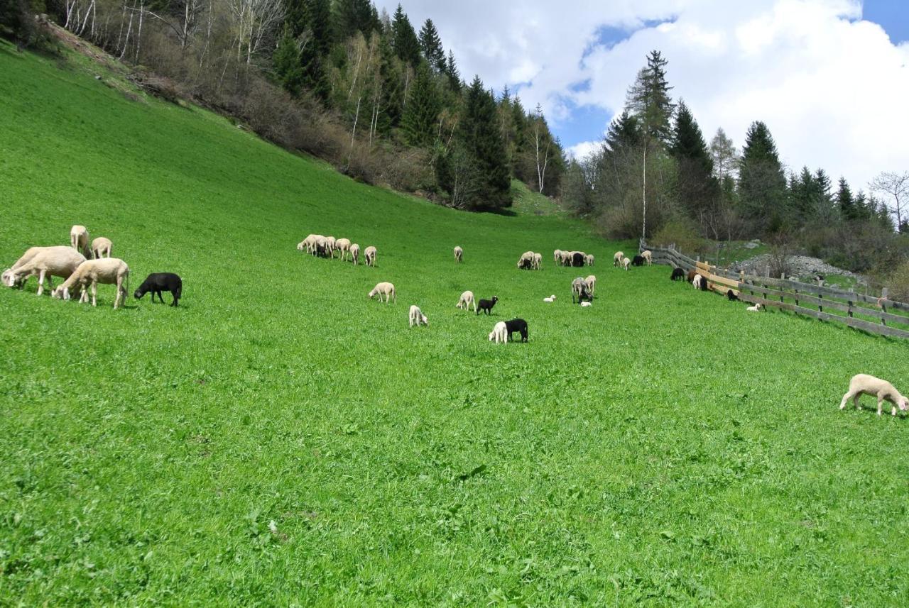 Ferienwohnungen Niederarnigerhof Familie Bauernfeind Kals am Grossglockner Exterior photo